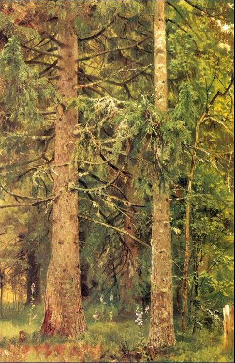 Ivan Shishkin Fir Forest Norge oil painting art